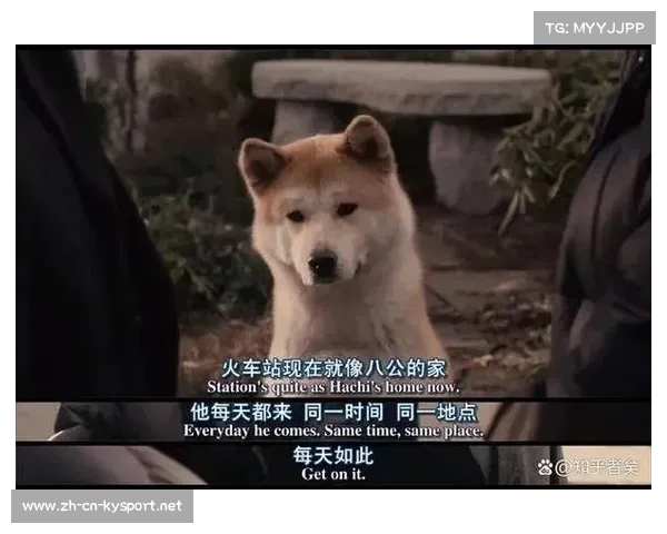 帕尔玛忠犬主演的真实故事背后 小狗原型的感人经历揭秘 帕尔玛忠犬主演的真实故事背后 小狗原型的感人经历揭秘